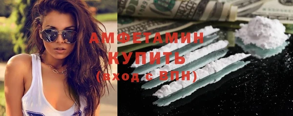 дмт Алзамай