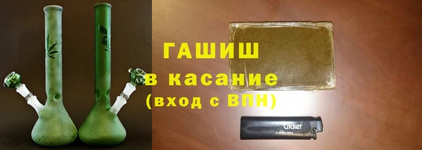 стафф Арсеньев