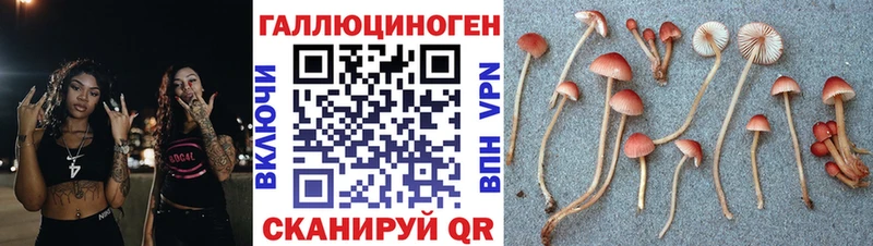 Галлюциногенные грибы мицелий Северо-Курильск